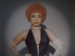 {{brizy_dc_image_alt entityId=