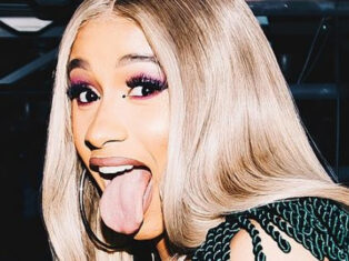 {{brizy_dc_image_alt entityId=