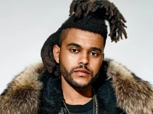 {{brizy_dc_image_alt entityId=